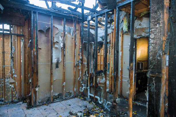 Professional Fire Damage Assessment technician working in Independence, IA